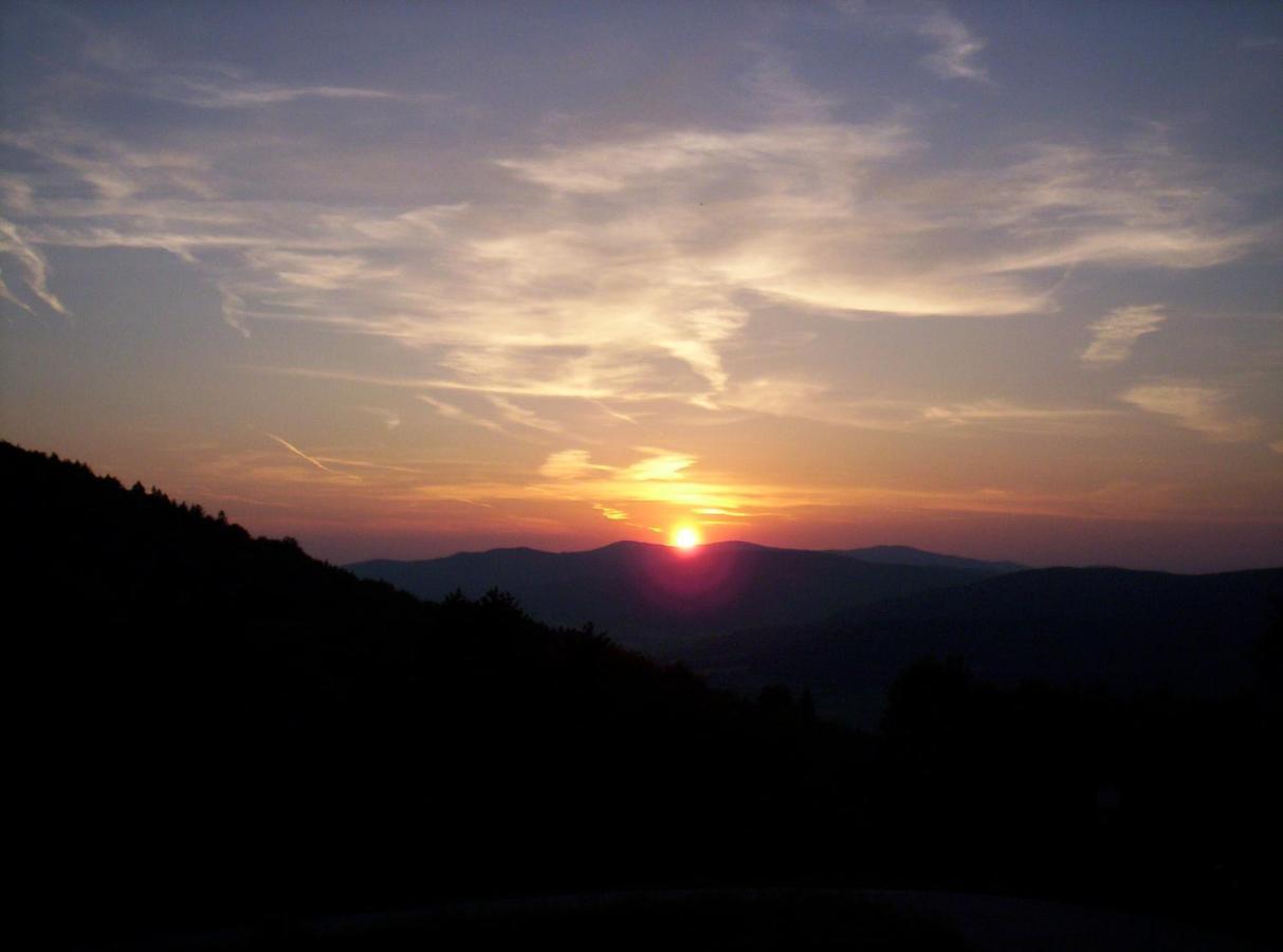 Bayern Ferienland Sonnenwald Daire Schöfweg Dış mekan fotoğraf