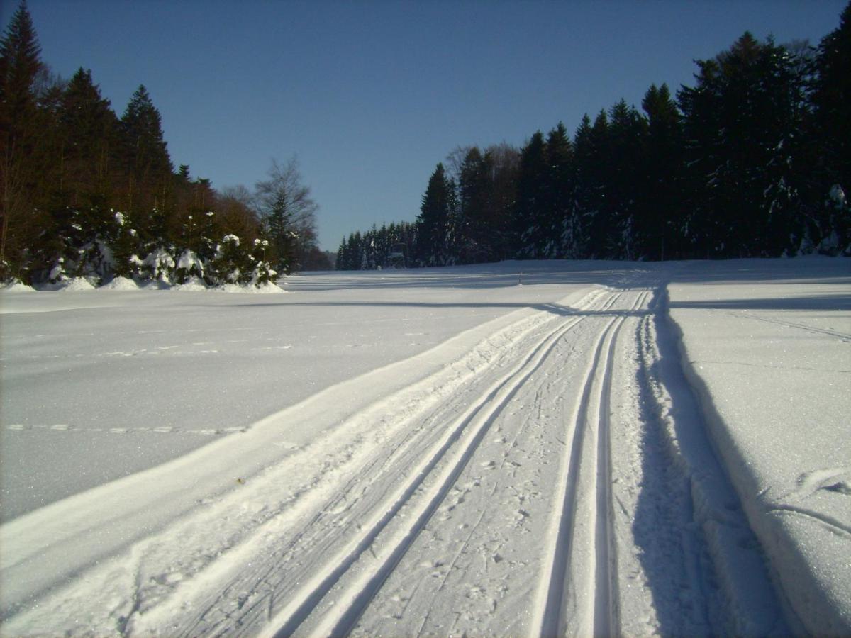 Bayern Ferienland Sonnenwald Daire Schöfweg Dış mekan fotoğraf